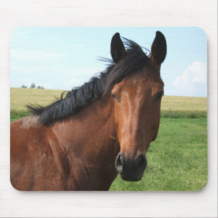 Reitpferd Mousepad