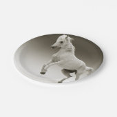 Reitpferd Pappteller (Schrägansicht)