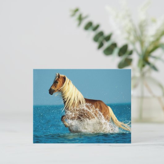 Reitpferd Postkarte (Stehend Vorderseite)