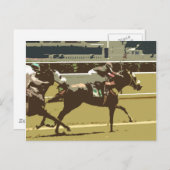 Reitpferd Postkarte (Vorne/Hinten)