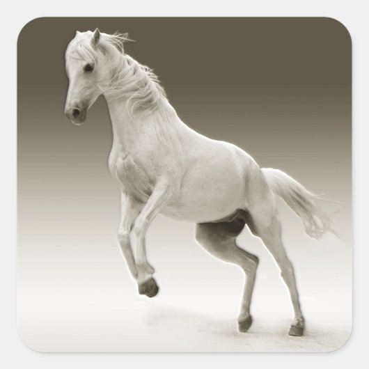 Reitpferd Quadratischer Aufkleber (Vorderseite)