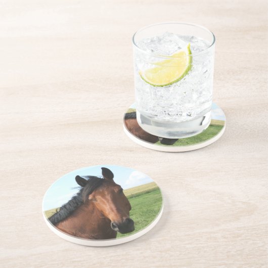 Reitpferd Sandstein Untersetzer (Seite)