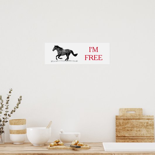 Reitpferd Schwarz-weiß bin ich frei Poster (Küche)