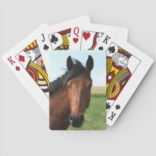 Reitpferd Spielkarten (Rückseite)