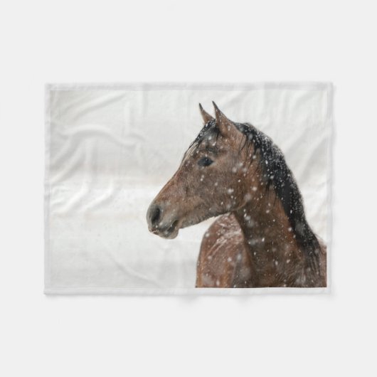 Reitpferd Stehend im sanft abfallenden Schnee Fleecedecke (Vorderseite (Horizontal))