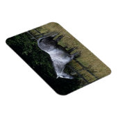 Reitpferd Stehend von Zaun Magnet (Rechte Seite)