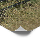 Reitpferd Stehend von Zaun Poster (Ecke)