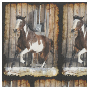 Reitpferd Stoff