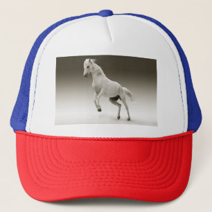 Reitpferd Truckerkappe