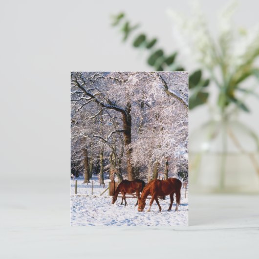 Reitpferde im Schnee Feiertagspostkarte (Stehend Vorderseite)