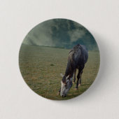 Reitpferde in Paddock Button (Vorderseite)