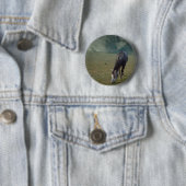 Reitpferde in Paddock Button (Beispiel)