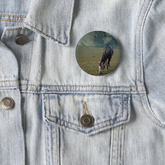 Reitpferde in Paddock Button (Beispiel)