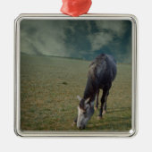 Reitpferde in Paddock Ornament Aus Metall (Vorne)