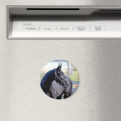 Reitpferde Magnet (In Situ (Geschirrspüler))