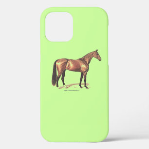 Reitpferde Reitpferde iPhone Case