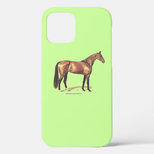 Reitpferde Reitpferde iPhone Case (Rückseite)