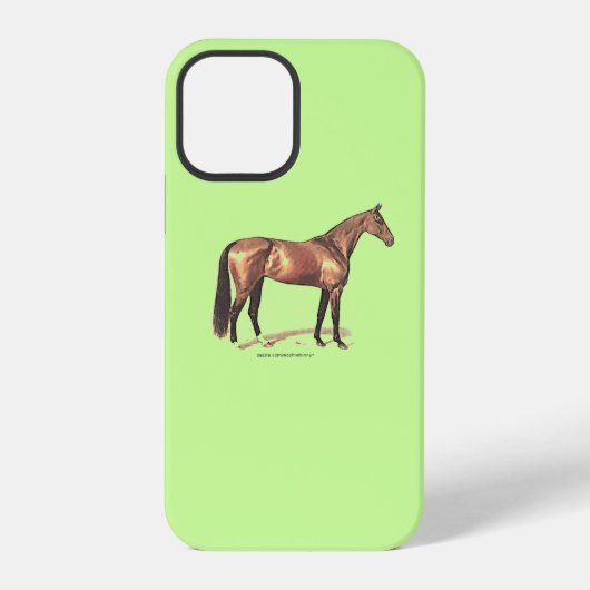 Reitpferde Reitpferde iPhone Case Hülle (Rückseite)