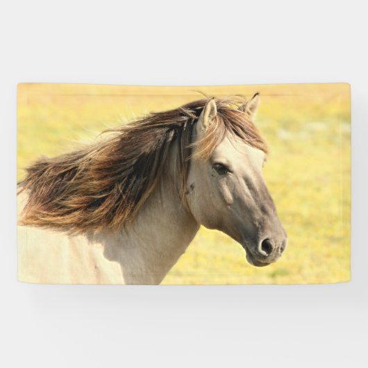Reitprofil Banner (Horizontal)