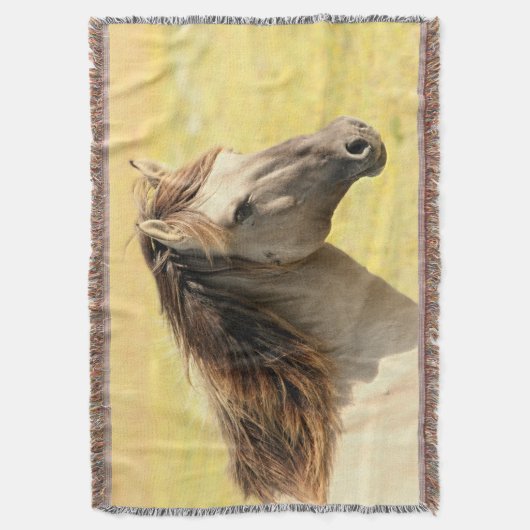 Reitprofil Decke (Vorderseite Vertikal)