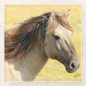 Reitprofil Glasuntersetzer (Vorderseite)