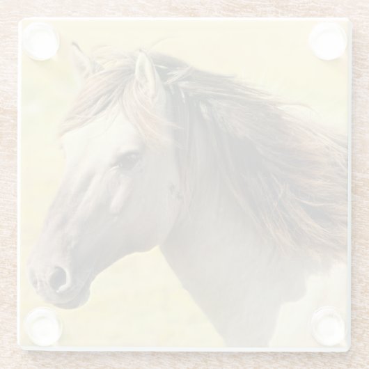 Reitprofil Glasuntersetzer (Rückseite)