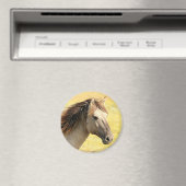 Reitprofil Magnet (In Situ (Geschirrspüler))