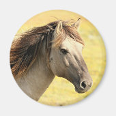 Reitprofil Magnet (Vorne)