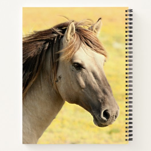 Reitprofil Notizblock (Rückseite)