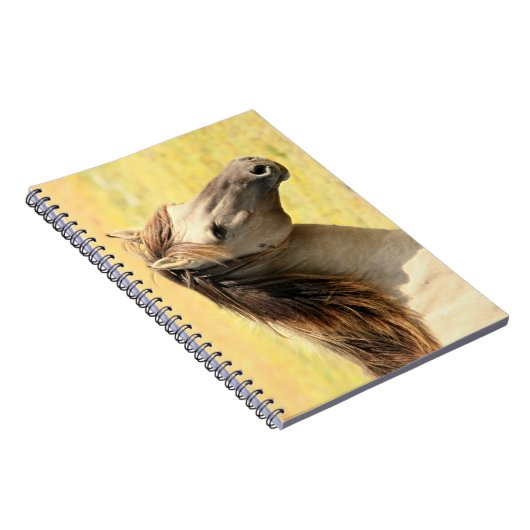 Reitprofil Notizblock (Rechte Seite)