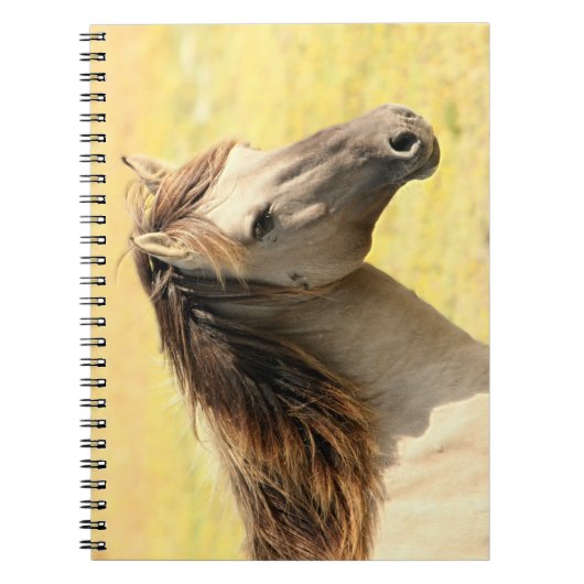 Reitprofil Notizblock (Vorderseite)