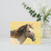 Reitprofil Postkarte (Stehend Vorderseite)