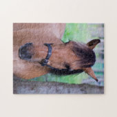 Reitpuzzle Puzzle (Horizontal)