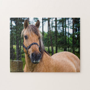 Reitpuzzle Puzzle