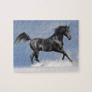 Reitpuzzle Puzzle