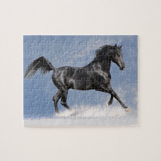 Reitpuzzle Puzzle (Horizontal)
