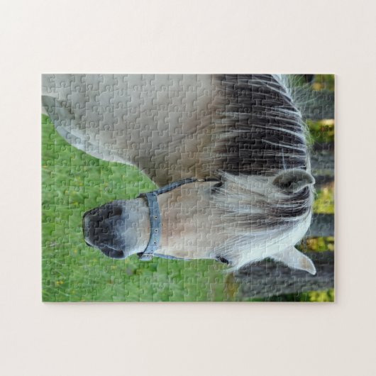 Reitpuzzle Puzzle (Horizontal)