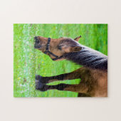 Reitpuzzle Puzzle (Horizontal)
