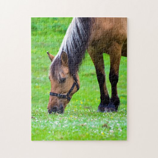 Reitpuzzle Puzzle (Vertikal)