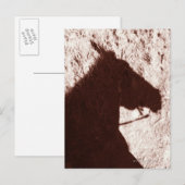 Reitschatten auf dem Trailboden Jasper Postkarte (Vorne/Hinten)