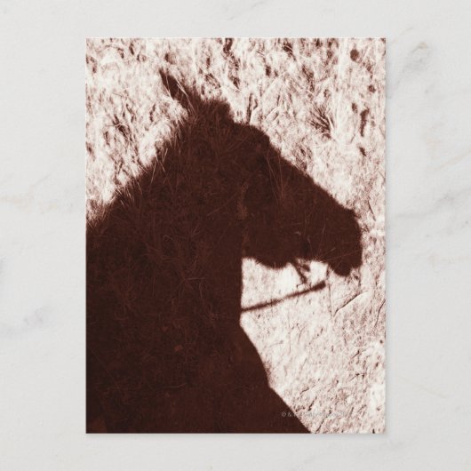 Reitschatten auf dem Trailboden Jasper Postkarte (Vorderseite)