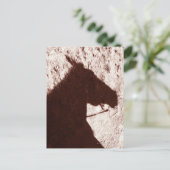 Reitschatten auf dem Trailboden Jasper Postkarte (Stehend Vorderseite)