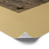 Reitschuh Canyon, Green River, 1872 Poster (Ecke)