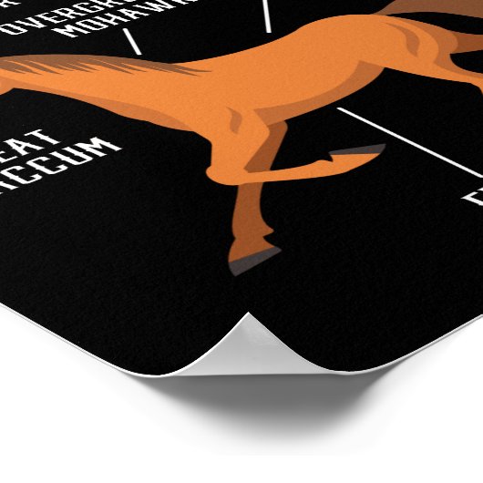 Reitsport Anatomie eines Pferdes Lover Poster (Ecke)