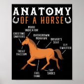 Reitsport Anatomie eines Pferdes Lover Poster (Vorne)