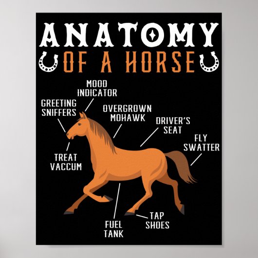 Reitsport Anatomie eines Pferdes Lover Poster (Vorne)