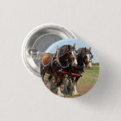 Reitsport Clydesdale Foto Button (Vorne & Hinten)