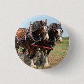 Reitsport Clydesdale Foto Button (Vorderseite)