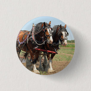 Reitsport Clydesdale Foto Button