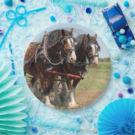Reitsport Clydesdale Foto Pappteller